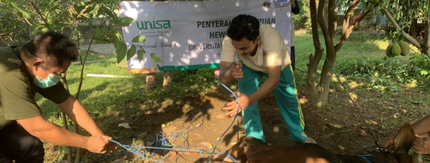 Rayakan idul adha, unisa yogyakarta melaksanakan qurban di kampus terpadu