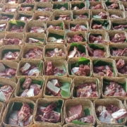 Dosen gizi unisa yogya beri cara jitu agar daging qurban bertahan lama