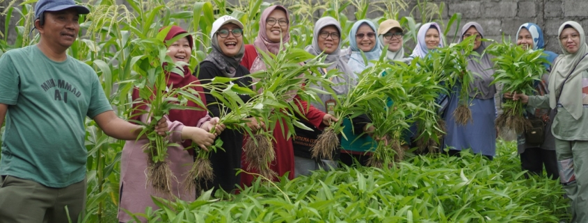 Go green and healthy 1