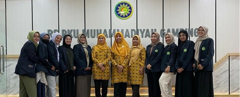Pengembangan emr
