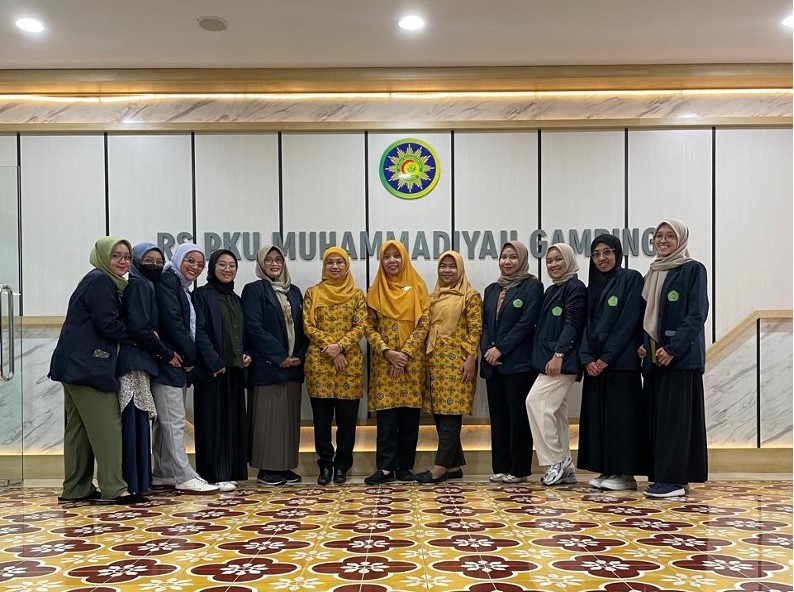 pengembangan emr