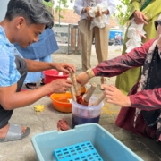 Kreativitas Lokal 1