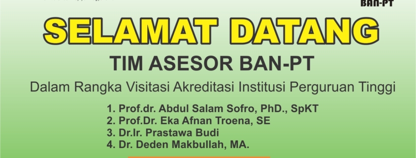 Desain web asesor