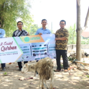 Unisa salurkan hewan kurban
