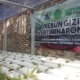 Pemberdayaan masyarakat melalui kebun gizi vertiminaponik untuk mencegah stunting