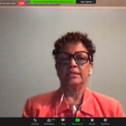 Mengetahui peran institusi kesehatan di webinar kebidanan unisa