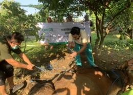 Rayakan Idul Adha, UNISA Yogyakarta Melaksanakan Qurban di Kampus Terpadu