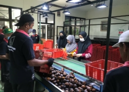 Desa Agrowisata Salak