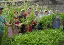 Go green and healthy
