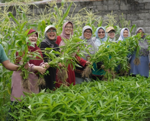 Go green and healthy