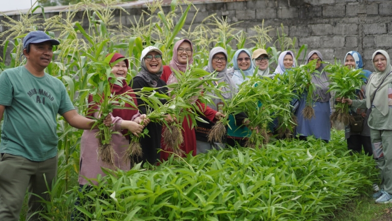 UNISA Yogyakarta di Acara Go Green and Healthy: Ajak Senam dan Panen