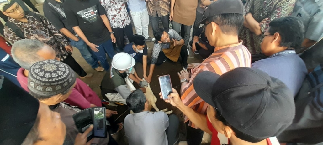 juru sembelih qurban