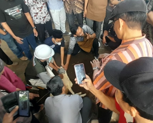 Juru sembelih qurban