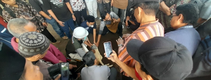 Juru sembelih qurban