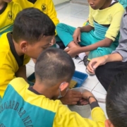 Smart Eco Farming 1