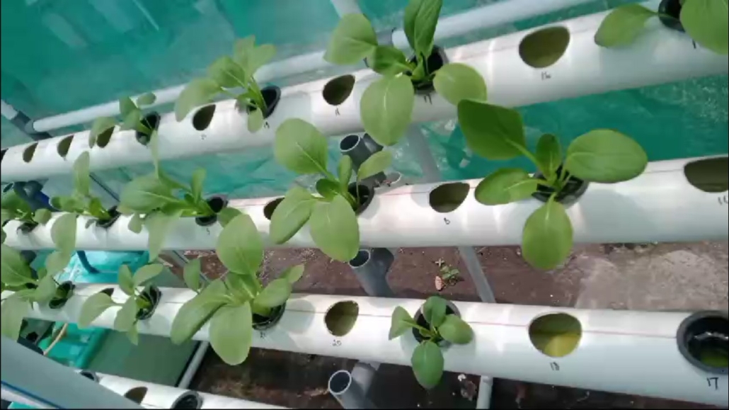 Smart Eco Farming