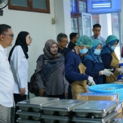 Kementrian ppn