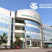 Program magang