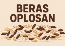 Beras oplosan
