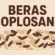Beras oplosan