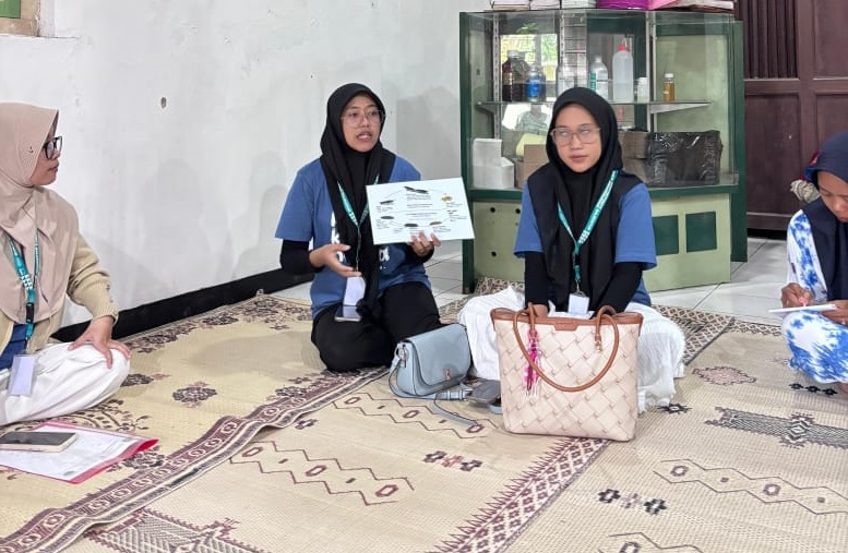 Budidaya maggot