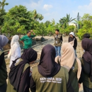 Mahasiswa jepang 2