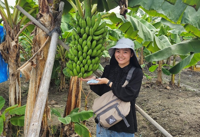 Mahasiswa jepang