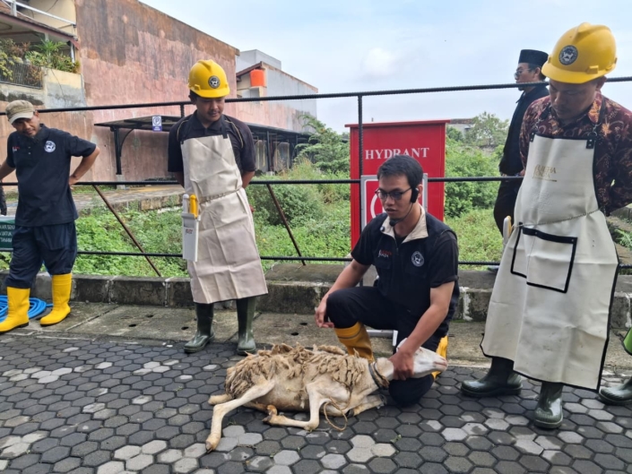 daging kurban Daging kurban
